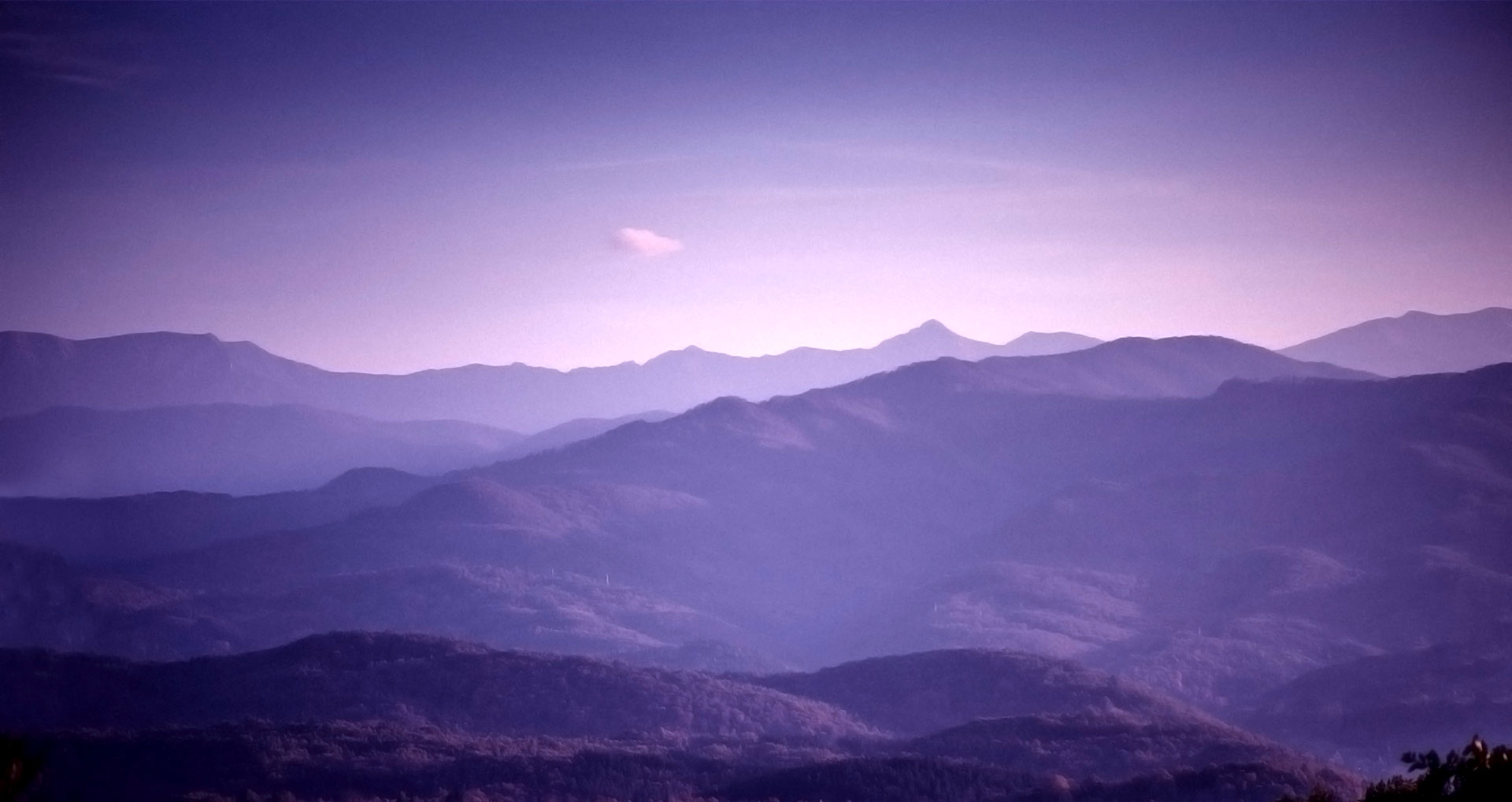 Therapy for Anxiety & Depression