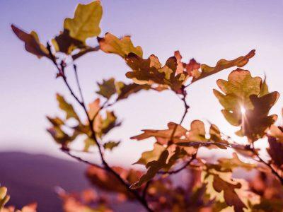 Therapy for Anxiety & Depression